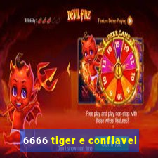 6666 tiger e confiavel